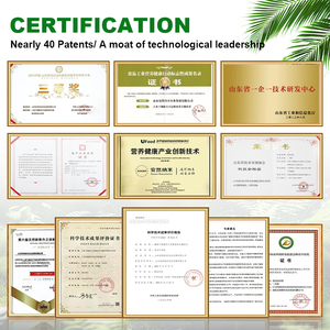 Radici Avventizie di Ginseng Naturale in Polvere Premium, Estratto Puro di Panax Ginseng ad Alto Contenuto di Ginsenosidi per Integratori Salutari - Product Image 5