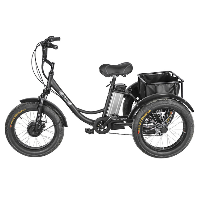 China Cheap Electric Cargo Bike 20inch Wheel for Adult Three Wheels Electric Bike 1000W Mid Motor Cargo Tricycle