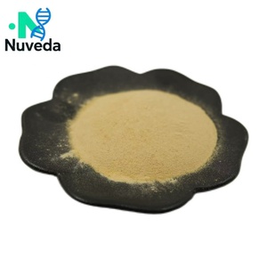 Tự nhiên Radix scrophulariae chiết xuất figwort gốc 10:1 Radix scrophulariae <span class=keywords><strong>scrophularia</strong></span> ningpoensis chiết xuất bột - Product Image 2