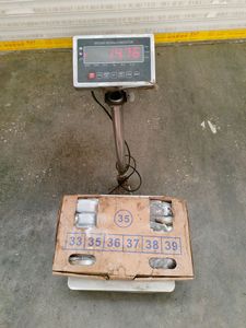 Calmar du Pacifique Sud, calmar rond entier congelé individuellement avec taille 200-300g, fruits <span class=keywords><strong>de</strong></span> mer sauvages pour la vente en gros - Product Image 5