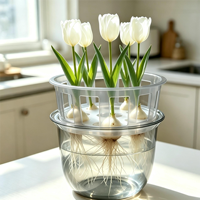 Pot de fleurs hydroponique transparent moderne avec plateau de support pour bulbes, idéal pour tulipes et jacinthes