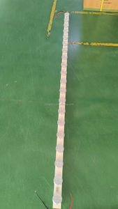 AC24V Auto-Vorprogrammierte Karnevals-LED-Spaßlichter Weiße Punktlichter 60mm 18LEDs 360 Grad IP66 Wasserdichte Pixel-Leuchte E14 - Product Image 5