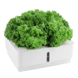 4 pods high quality indoor garden white hydroponic grow box Hydroponic pot for garden plant