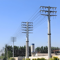 Pylône de distribution d'énergie urbaine 110 kV 220 kV - Pylône en acier au carbone galvanisé à chaud - Structure de support à haute stabilité