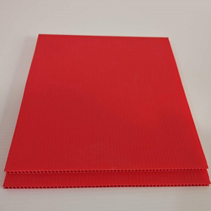 Card Shipping Protector: Best for Trading Card Safety Card Shipping Protector: Best for Trading Card Safety