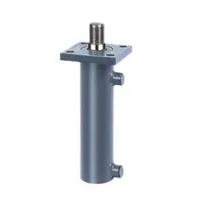 Cilindro idraulico per punzonatura flangia cilindro idraulico per pressa cilindro idraulico a doppio effetto