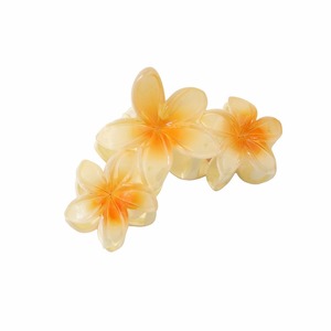 Pinzas de Pelo con Flores de 10 cm y 12 cm, Pinzas de Pelo Acrílicas Modernas y Elegantes para <span class=keywords><strong>Mujer</strong></span>, Accesorios para el Cabello - Product Image 5