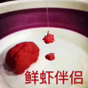 Additif pour appât de crevettes Shrimp Companion pour la pêche au fond en eau douce de la carpe 50G Fabriqué en Chine - Product Image 4