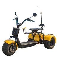 Sepeda Listrik Roda Tiga 2000W Rangka Aluminium 3 Kecepatan Baterai Terintegrasi Ban Lebar Citycoco Baterai Lithium 60V