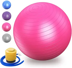 生态防滑家庭瑜伽馆使用健身配件防爆裂瑜伽普拉提55厘米聚氯乙烯瑜伽球