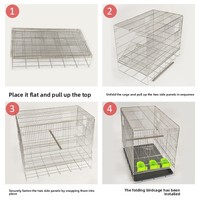 Cage d'élevage pour perroquets en acier inoxydable 304, pliable, anti-évasion, pour perroquets de taille moyenne, pratique, direct usine