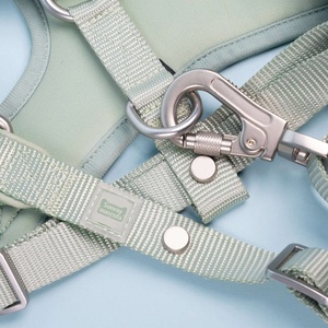 Harnais <span class=keywords><strong>de</strong></span> luxe réglable anti-traction pour chiens <span class=keywords><strong>de</strong></span> petite et grande taille avec laisse assortie |   Polyester, design personnalisé, OEM/ODM sur mesure - Product Image 6