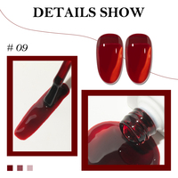 ZRKGEL Automne 9 Couleurs HEMA/TPO Free Ice Jelly Vernis À Ongles Gel Ensemble Cristal Texture Transparente Gel À Ongles Professionnel pour Salon