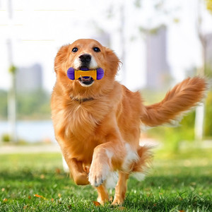 Jouet durable en caoutchouc pour chiens, distributeur de friandises, jouet à mâcher pour le nettoyage des dents, jouet interactif à distribution de nourriture pour animaux de compagnie, pour chiens de taille moyenne à grande - Product Image 2