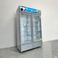 Réfrigérateur commercial de refroidisseur d'affichage de boisson simple et double température de trois couleurs de LED