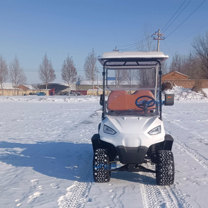 Golf Cart for Kids Enclosed Golf Cart Club Car Golf Cart Engine Side by Side <b>4x4</b> Off Road Buggy - Product Image 2