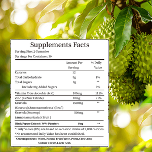 OEM 2000mg Organic Soursop Leaf and Fruit Extract Soursop Graviola Gummies With Vitamin C Zinc Black Pepper for Digestive Detox - Product Image 2