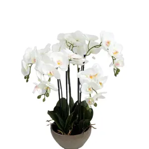 Лидер продаж, высококачественные искусственные Реалистичные Цветы фаленопсиса, Искусственные белые орхидеи, орхидеи, в черной керамической вазе