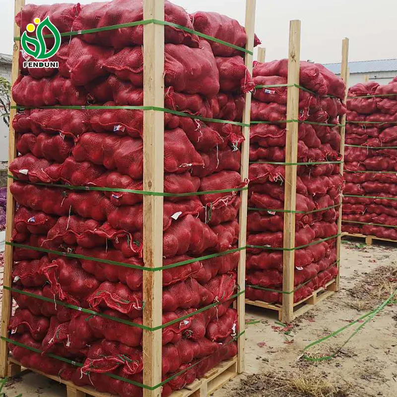 Onion Exporters in China 50mm Size Red Onion Market Price List