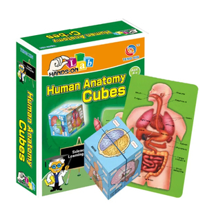Juego de Órganos Humanos para Educación Temprana, Juguete Educativo de Ciencias para Estudiantes de <span class=keywords><strong>Primaria</strong></span> <span class=keywords><strong>y</strong></span> <span class=keywords><strong>Secundaria</strong></span>, Rompecabezas DIY, Juguetes Cognitivos - Product Image 1