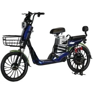 2023电动货运自行车48v电动自行车欧洲仓库货运电动自行车电机2500电动自行车