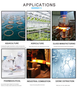 Flygoo Aquacultuur 15 Liter Zuurstofconcentrator <span class=keywords><strong>Machine</strong></span> Prijs Draagbaar Goedkope Prijs met Luchtcompressor - Product Image 6