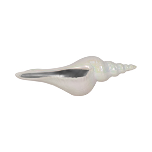 Scultura Decorativa a Forma di Conchiglia Marina, Statua Costiera per Soggiorno, Bagno, Ufficio, Arredamento Casa - Product Image 1