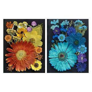 Lot <span class=keywords><strong>de</strong></span> 20 sachets mélange fleurs pressées fond <span class=keywords><strong>noir</strong></span> papier carte cadre <span class=keywords><strong>photo</strong></span> résine époxy <span class=keywords><strong>et</strong></span> fabrication <span class=keywords><strong>de</strong></span> bougies - Product Image 5