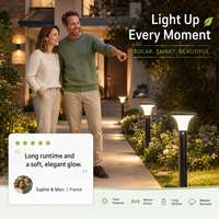 Lámpara Solar LED para Exteriores, Comercial, Impermeable IP65, 1000lm, para Jardín, Parque, Villa, Patio, Calle, Iluminación de Paisajes