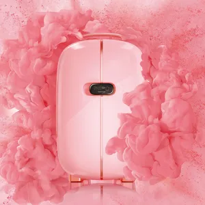 Frigorifero portatile da 12 litri mini frigorifero per la cura della pelle per la casa