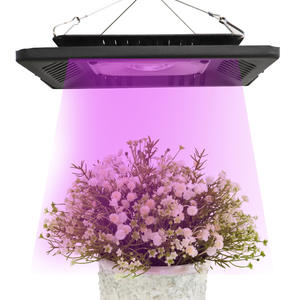 Les systèmes de serre hydroponiques <span class=keywords><strong>Led</strong></span> élèvent la <span class=keywords><strong>lampe</strong></span> AC 110V 220V 50w 100W 150W plantes d'intérieur serre poussent la lumière <span class=keywords><strong>LED</strong></span> jardin - Product Image 1