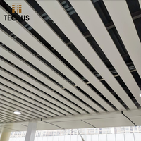 Foshan Factory Sistema de techo elástico Tira de metal Techo falso