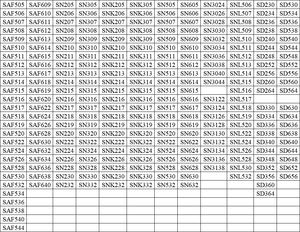 DST Ofrece Varios Tipos de Soportes para Rodamientos de Bloque de Soporte     SN SNK SNL SD SAF <span class=keywords><strong>SDAF</strong></span>     Soportes de Bloque de Soporte Divididos - Product Image 5