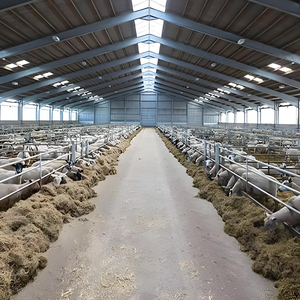 Hoge Kwaliteit Lichtgewicht Prefab Stalen Magazijn Schuur Paardenbox Indoor Paardrijarena Stallen Lasverwerking - Product Image 6