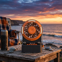 Radio FM portable haute vitesse pour le camping avec chargement USB, 10 000 mAh, idéale pour la maison et l'extérieur, avec LED