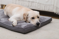 Tapis de couchage en velours arctique 2026 pour chat et chien, coussin anti-griffures pour animaux de compagnie, matelas antidérapant en coton pour chat et chien