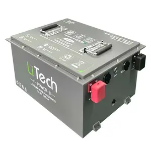 Litech Lifepo4 Batterijen 4S 2P 12V 48V 200ah Oplaadbare Camper/Limo/Golfkarretjes/Trailer Lithium Ijzeren Batterij Pakket Akku