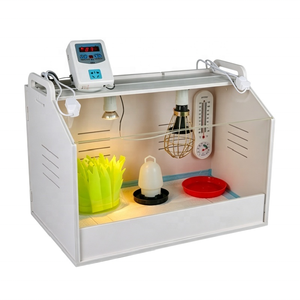 <span class=keywords><strong>Incubadora</strong></span> Comercial con Control de Temperatura para la Cría de Pollitos, Codornices, Patos y Gansos - Product Image 3