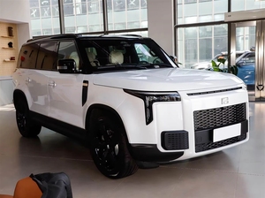 Per <span class=keywords><strong>Rox</strong></span> 01: Auto Fuoristrada di Alta Gamma Più Venduta per <span class=keywords><strong>ROX</strong></span> 2024, Usata a Basso Prezzo da Grossista Cinese, Popolare, Pronta in Porto - Product Image 3