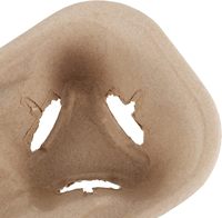 Supports à café jetables en bagasse biodégradable pour 2 tasses, plateaux portables à emporter pour cafés et restaurants
