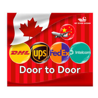 Ever Ocean Rates Entrega rápida Fcl Lcl Container Ddu Ddp Service Air Express Courier Agente de envío a Estados Unidos EE. UU. Canadá