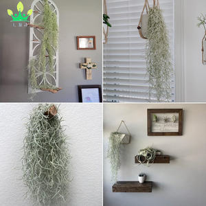 <span class=keywords><strong>Musgo</strong></span> <span class=keywords><strong>español</strong></span> artificial para plantas en maceta, guirnalda colgante, planta verde para manualidades, jardineras, decoración interior al aire libre - Product Image 5