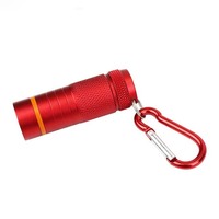 Senter LED Mini Alloy Aluminium Grosir dengan Gantungan Kunci, Senter Elektrik Portabel dengan Carabiner untuk Alat Bertahan Hidup saat Berkemah di Luar Ruangan