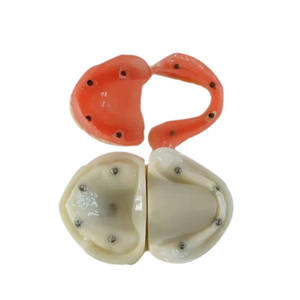 Modelo de Implante Dental para Prótesis Total, para Estudio y Enseñanza en Ciencias Médicas - Product Image 2