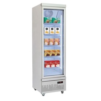 Congélateur vitrine commercial à porte simple 400L pour crèmes glacées et aliments surgelés, idéal pour supermarchés