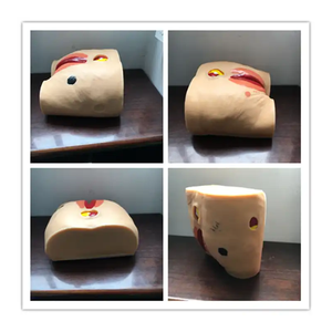 Modèle de soins infirmiers Ulcère de pression pour personnes âgées Modèle d'<span class=keywords><strong>escarre</strong></span> de science médicale pour les patients - Product Image 3