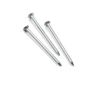 Nhà Máy Bán Buôn Cao End 1 "-6" Gỗ Móng Tay Với Tùy Chỉnh Colour Phổ Thông Dây Móng Tay Phổ Thông Móng Tay - Product Image 4