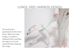 Harnais pour chien de taille M, de luxe, de qualité supérieure, en coton doux et respirant, personnalisé, réglable, durable, avec fermeture à boucle tendance pour chiens - Product Image 5