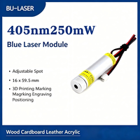 Module laser violet 405 nm 250 mW pour gravure sur feuille, micro-gravure, marquage laser, impression 3D et traitement de détails fins