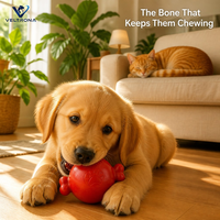 Jouet à mâcher pour chien en caoutchouc, en forme d'os, pour chiot, pour la dentition, nettoyage dentaire, balle à mâcher interactive